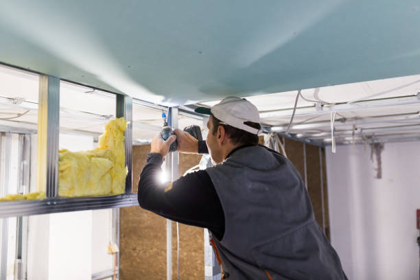 Best Insulation Installation Services in Berkley, CO