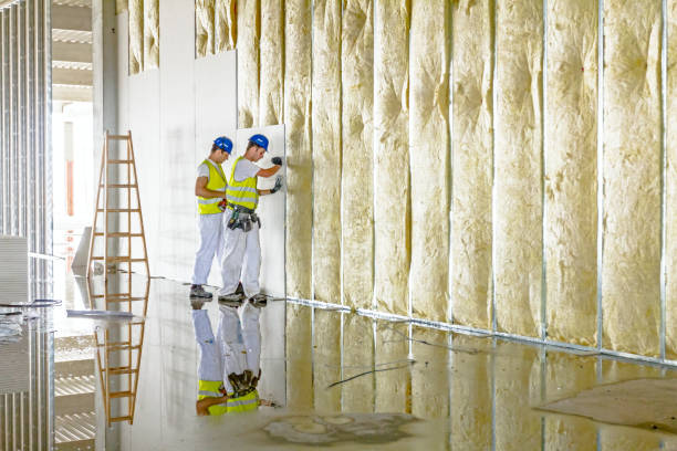 Best Energy Efficiency Solutions in Berkley, CO
